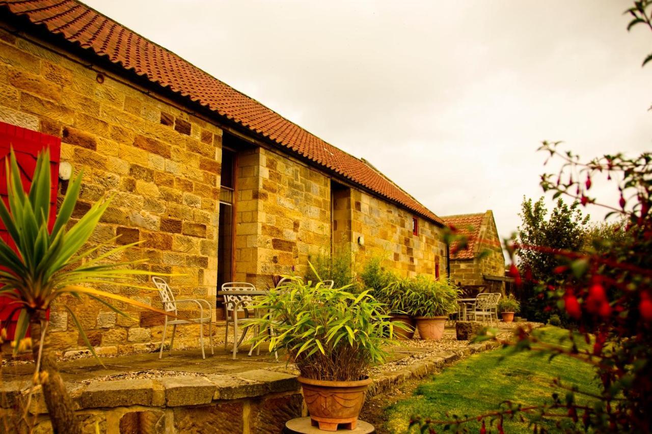 Spangle Cottage, Borrowby Farm Cottages Staithes Exterior photo
